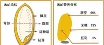 为什么老人不能长期喝粥？对身体有什么坏处？